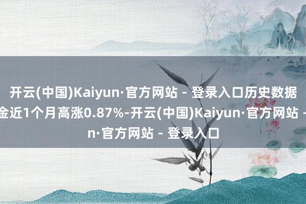 开云(中国)Kaiyun·官方网站 - 登录入口历史数据裸露该基金近1个月高涨0.87%-开云(中国)Kaiyun·官方网站 - 登录入口