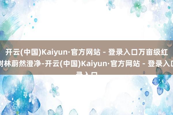 开云(中国)Kaiyun·官方网站 - 登录入口万亩级红树林蔚然澄净-开云(中国)Kaiyun·官方网站 - 登录入口