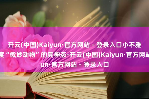 开云(中国)Kaiyun·官方网站 - 登录入口小不雅众们争相揣度“微妙动物”的真神态-开云(中国)Kaiyun·官方网站 - 登录入口